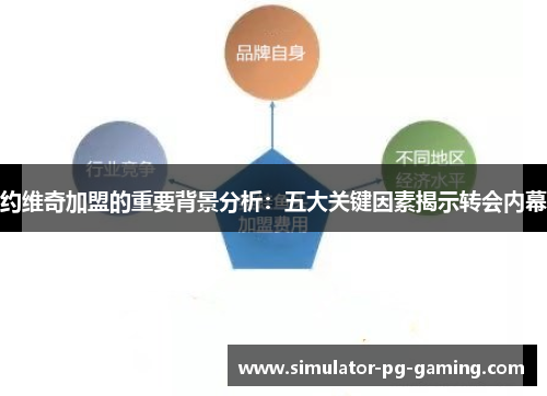 约维奇加盟的重要背景分析：五大关键因素揭示转会内幕