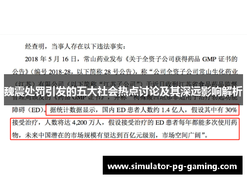 魏震处罚引发的五大社会热点讨论及其深远影响解析