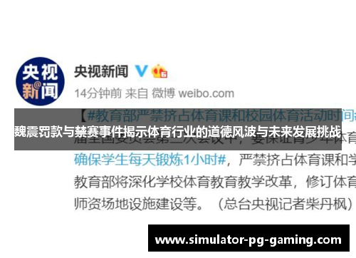 魏震罚款与禁赛事件揭示体育行业的道德风波与未来发展挑战