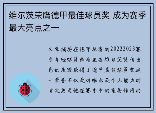 维尔茨荣膺德甲最佳球员奖 成为赛季最大亮点之一